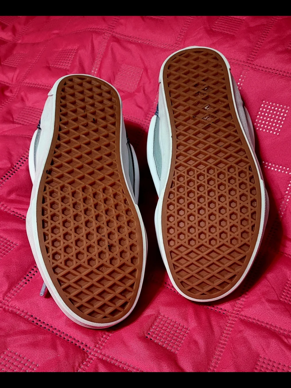 Vans low top
